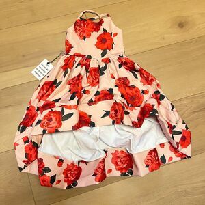 NWT Joyfolie Pearl Toddler Dress SZ 3T Girl Hi Low Pink Red Shell Floral